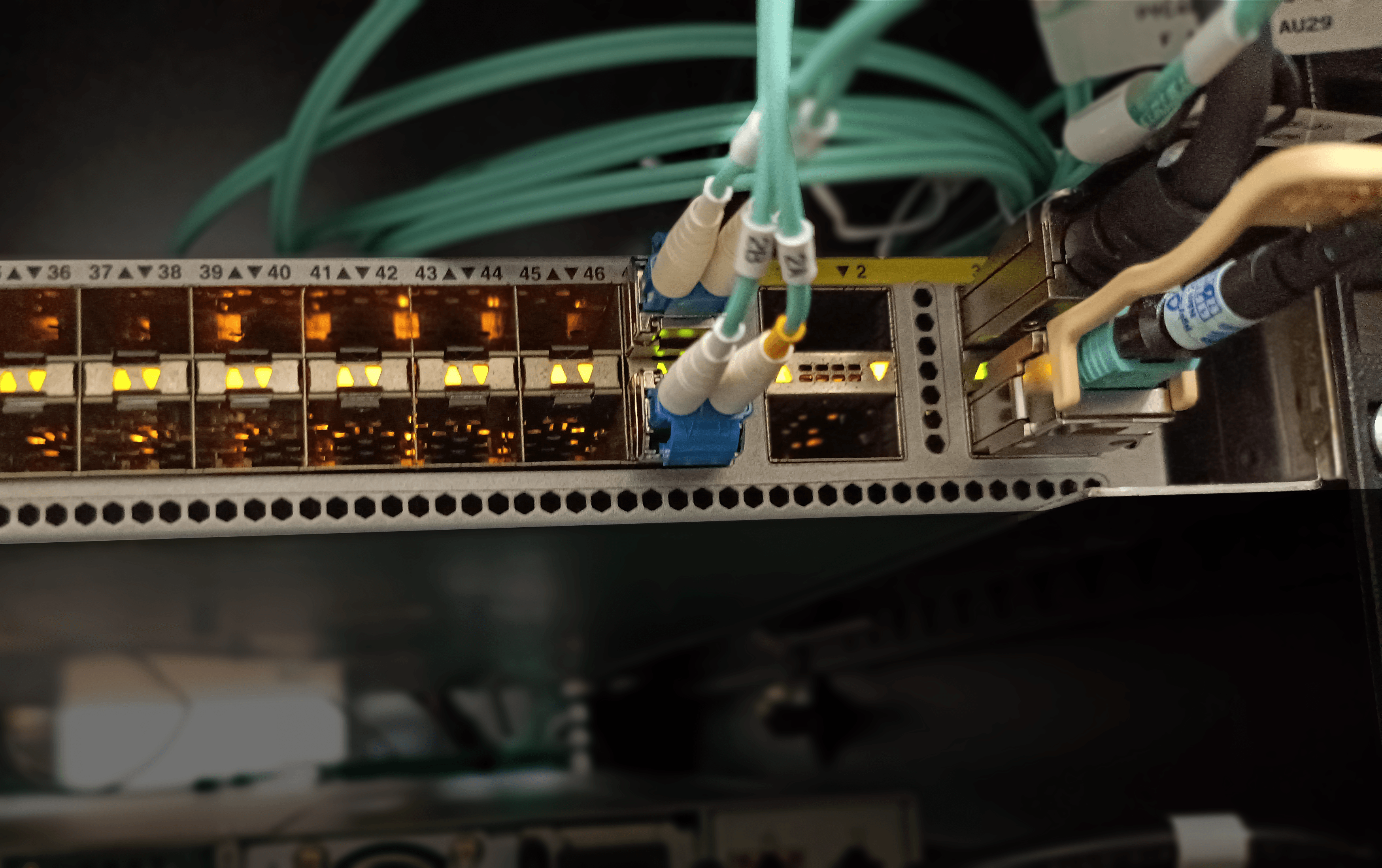 Định tuyến độ trễ thấp và Anti-DDoS mạnh mẽ